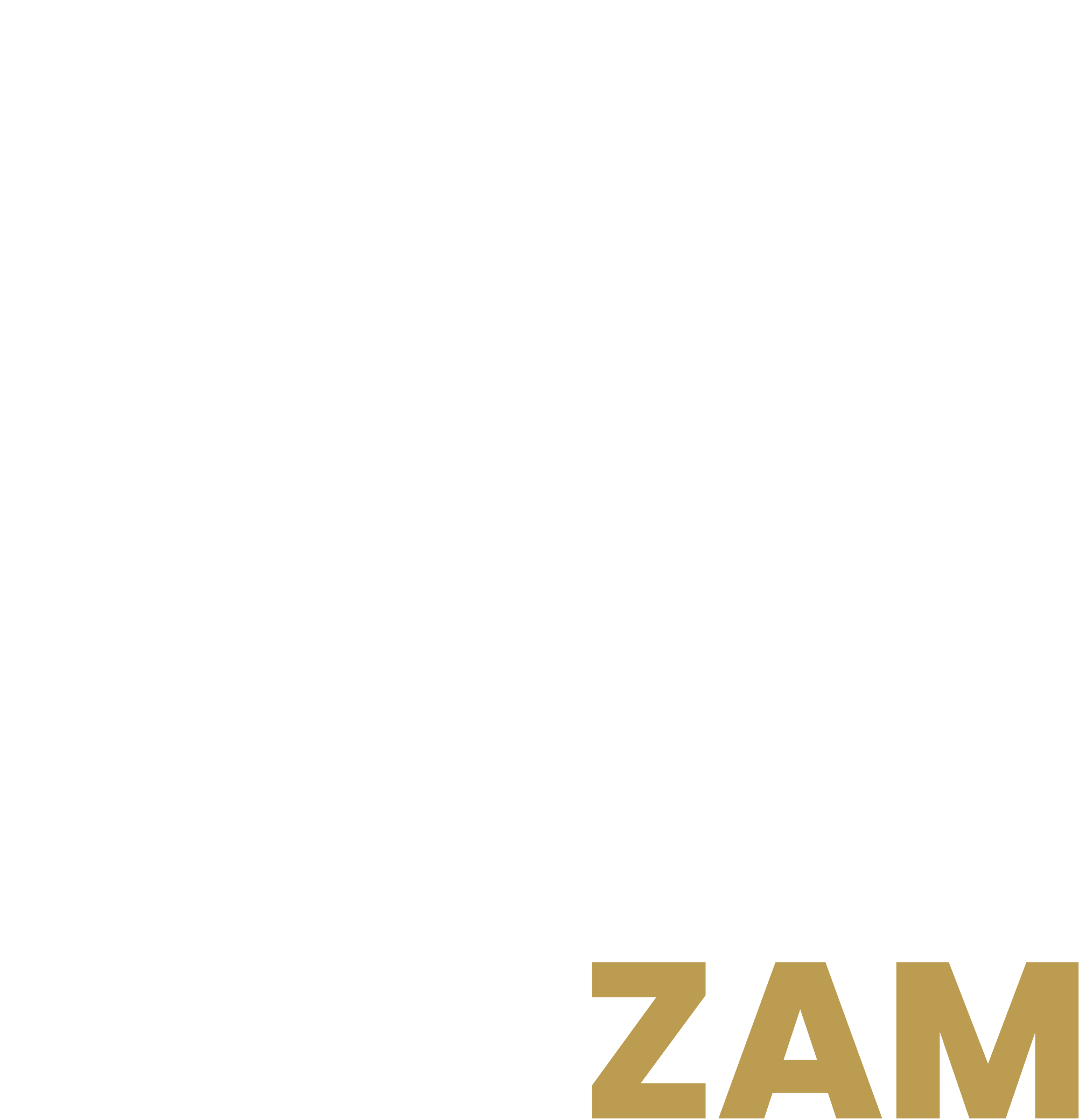 Fashzam